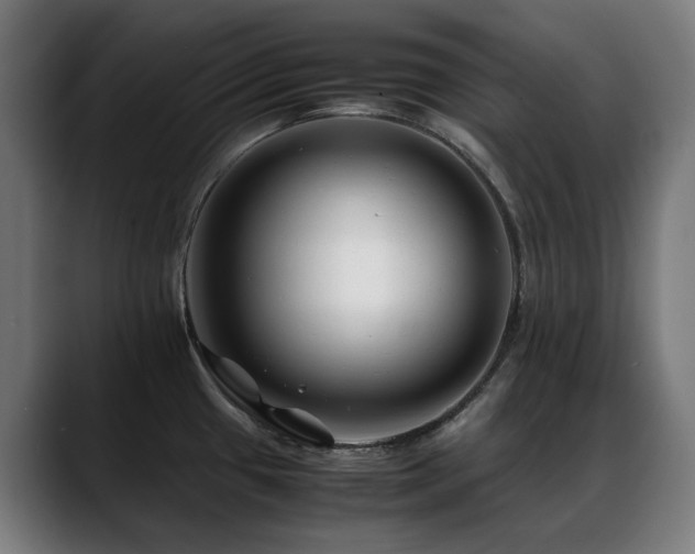 X0000088661433200705251513