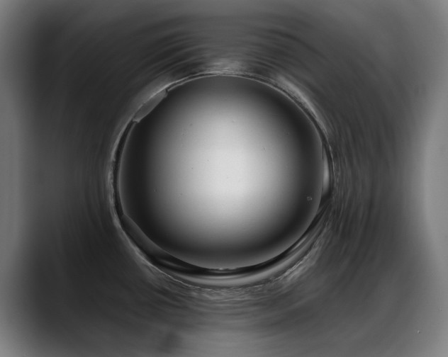 X0000088661434200705251513