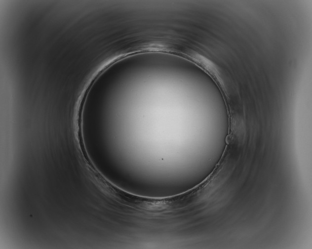 X0000088661435200705251513