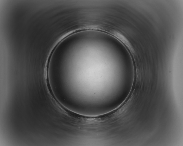 X0000088661436200705251513