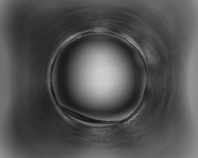 X0000088661437200705251513