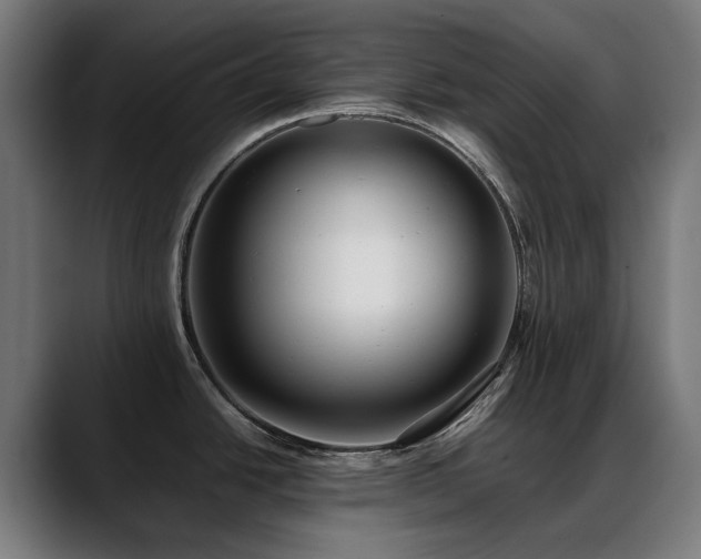 X0000088661438200705251513