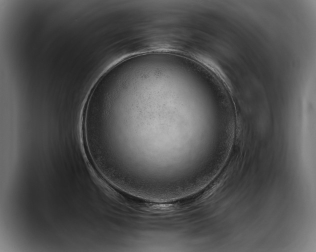 X0000088661439200705251513