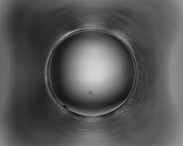 X0000088661440200705251513