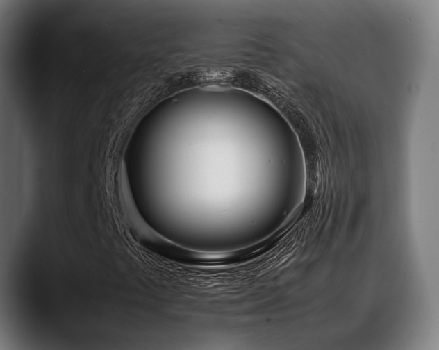 X0000088661441200705251513