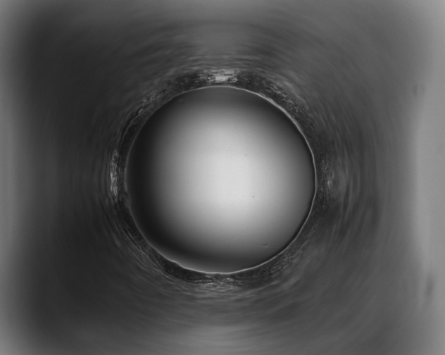 X0000088661442200705251513