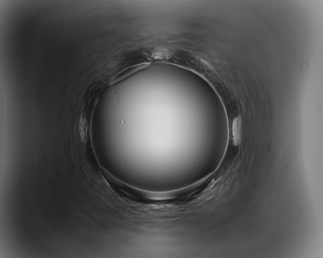 X0000088661443200705251513