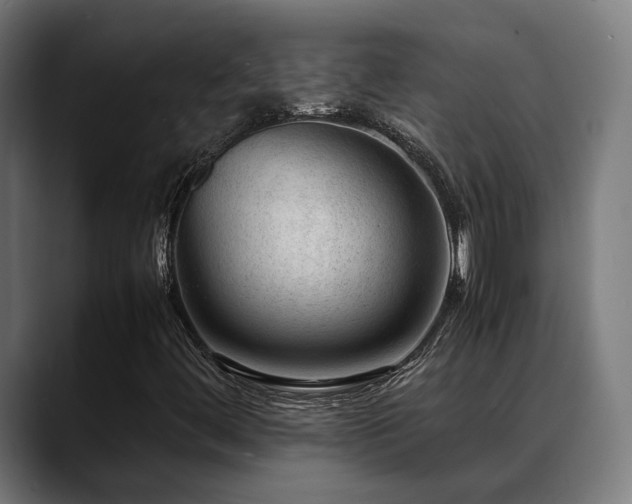 X0000088661444200705251513