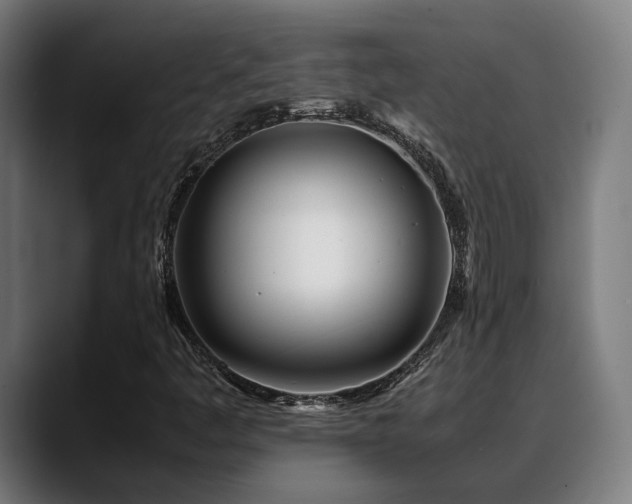 X0000088661445200705251513