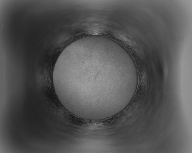 X0000088661446200705251513