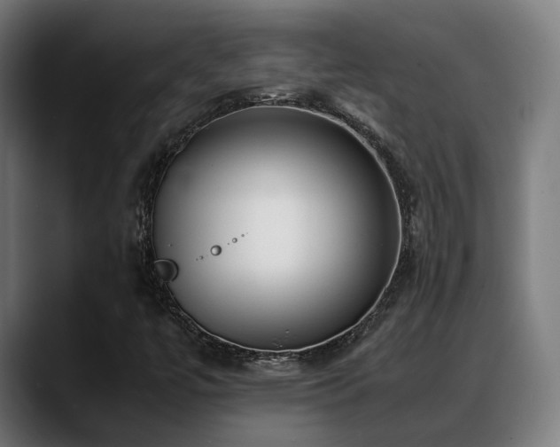 X0000088661447200705251513