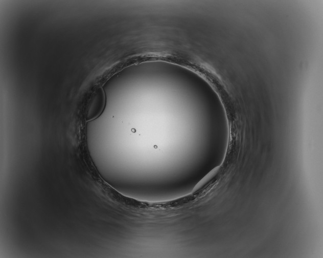 X0000088661448200705251512