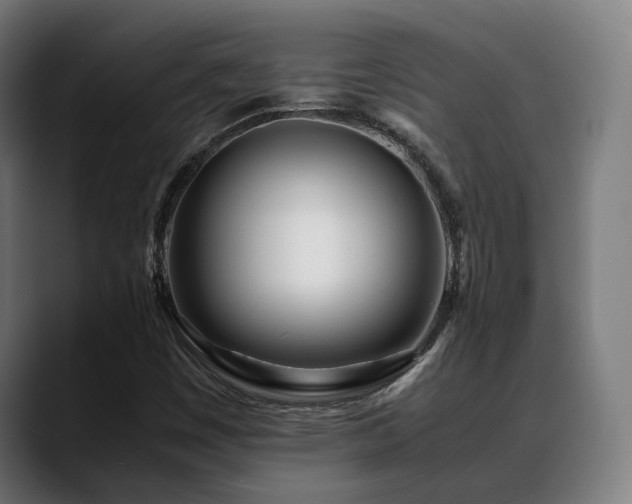 X0000088661449200705251512