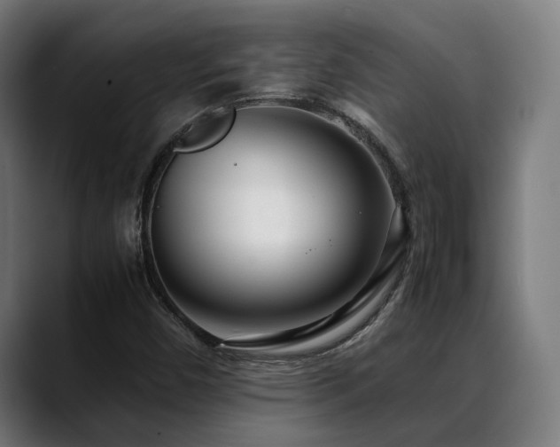 X0000088661450200705251512