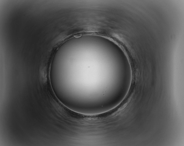 X0000088661451200705251512