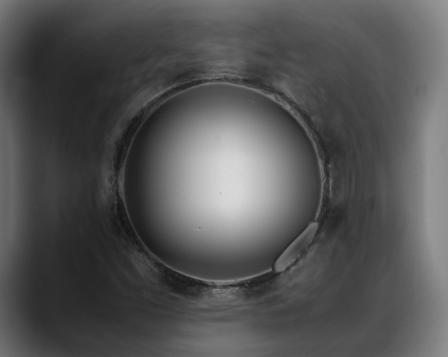 X0000088661453200705251512