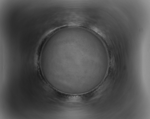 X0000088661454200705251512