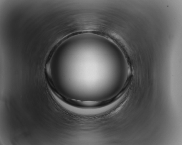 X0000088661457200705251512