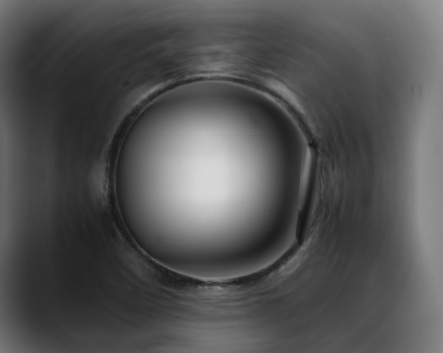 X0000088661458200705251512