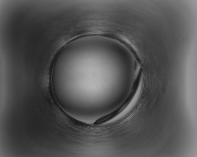 X0000088661459200705251512