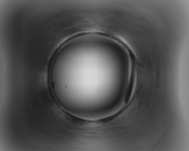 X0000088661460200705251512