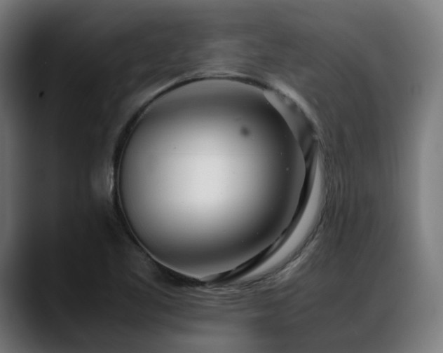 X0000088661461200705251512