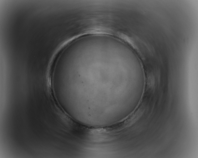 X0000088661462200705251512