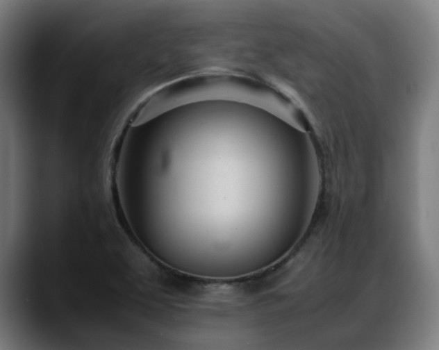 X0000088661463200705251512