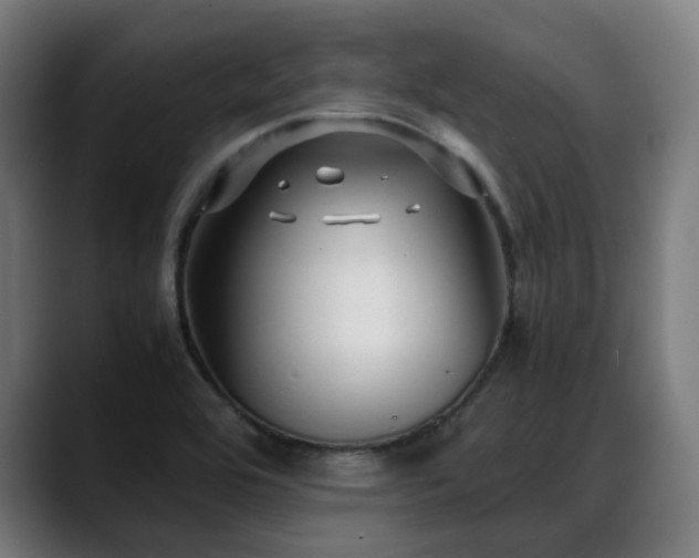 X0000088661464200705251512