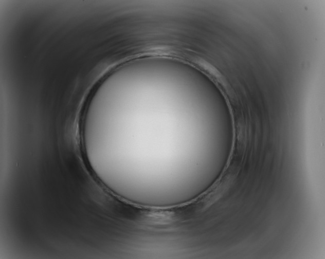 X0000088661466200705251512