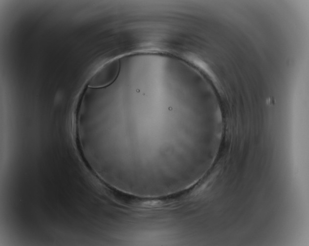 X0000088661467200705251512