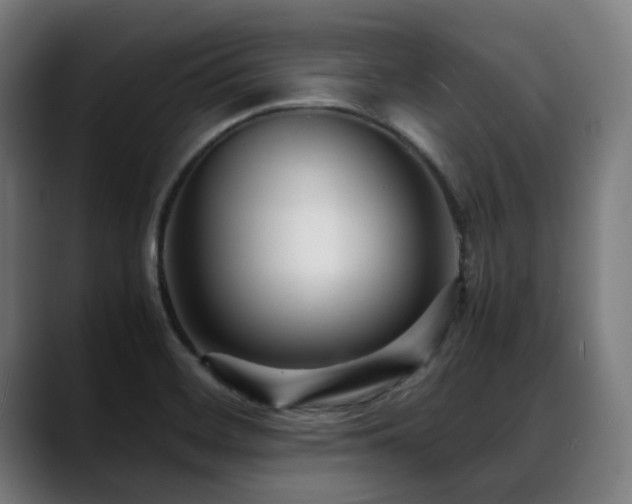 X0000088661468200705251512