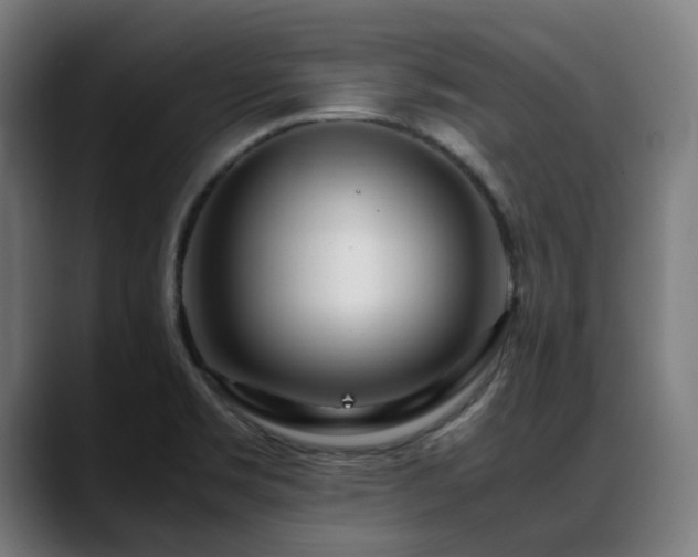 X0000088661469200705251512