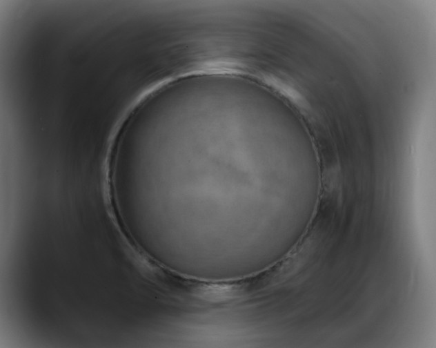 X0000088661470200705251512