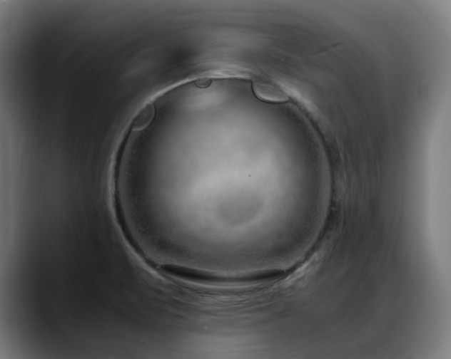 X0000088661471200705251512