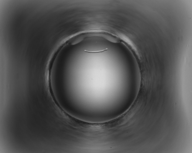 X0000088661472200705251512