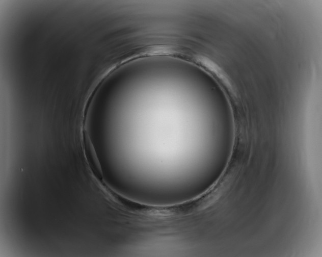 X0000088661473200705251512