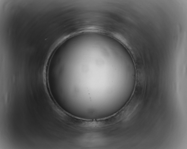 X0000088661474200705251512