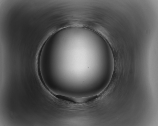 X0000088661475200705251512