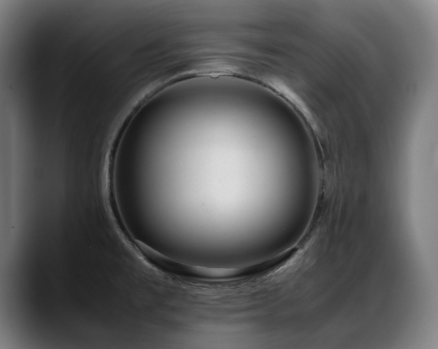 X0000088661477200705251512