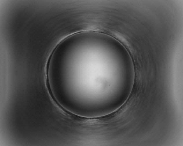 X0000088661479200705251512