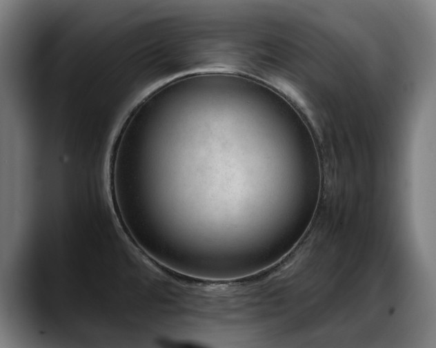 X0000088661480200705251512