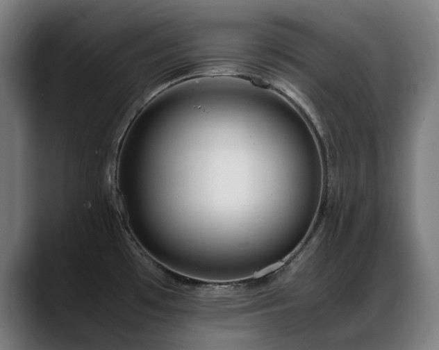 X0000088661481200705251512