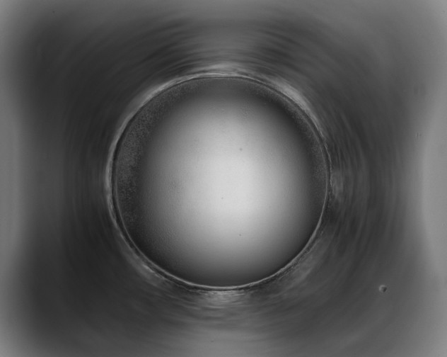 X0000088661482200705251512