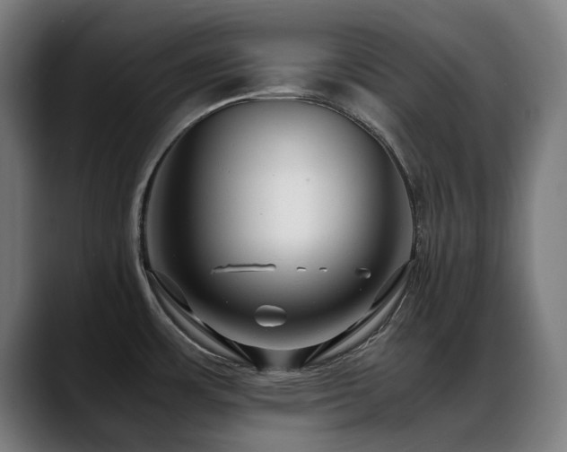 X0000088661483200705251512