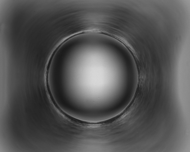 X0000088661484200705251512