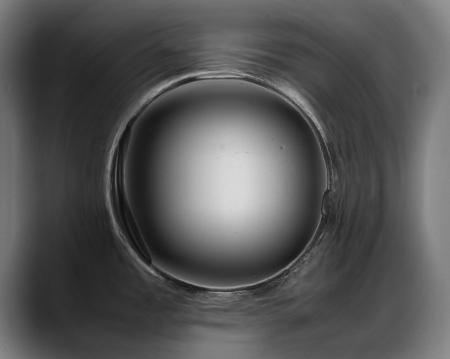 X0000088661485200705251512