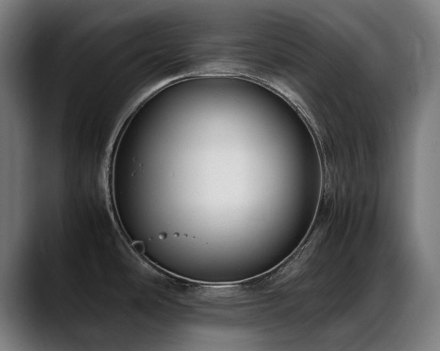 X0000088661486200705251512