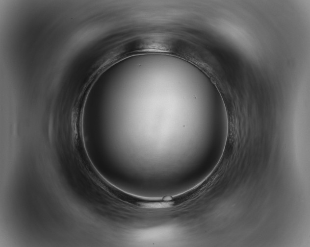 X0000088661487200705251512