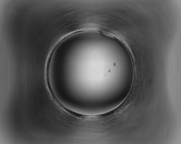 X0000088661488200705251512